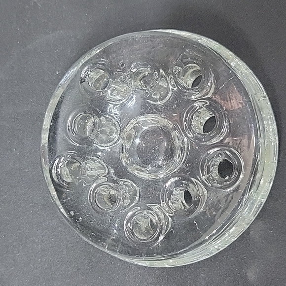 Frog - Picture 3 of 5